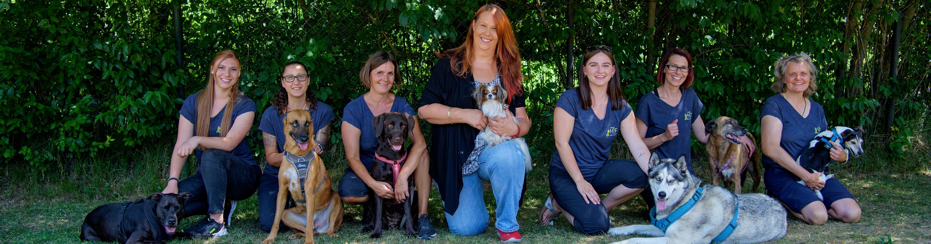 Hundetraining Franken - Team, Katy mit Team und ihren Hunden in einer Reihe