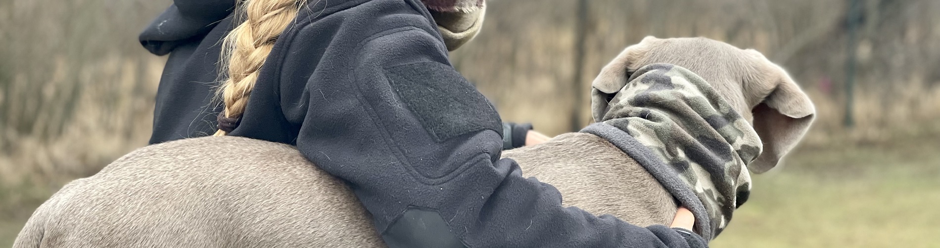 Hundetraining Franken - Startseite, Trainerin umarmt Weimaraner