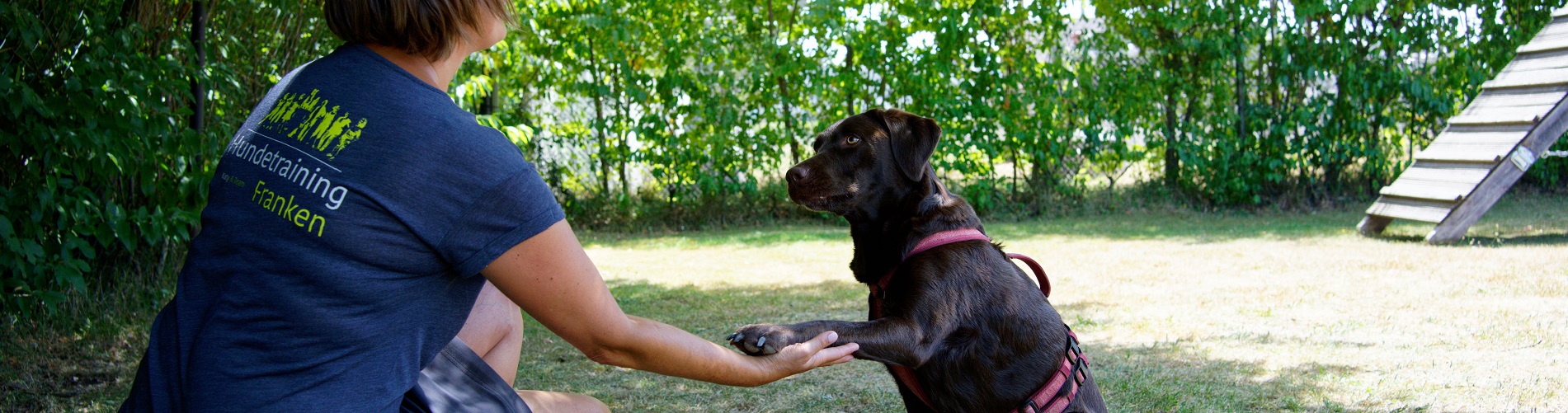 Hundetraining Franken_Einzeltraining_Hund gibt Trainerin Pfote