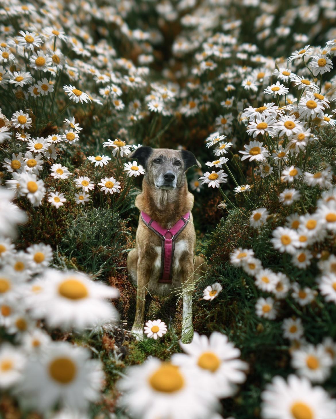 Abenteuer Wildkräuter 2 Abenteuer Wildkräuter – Bild 2