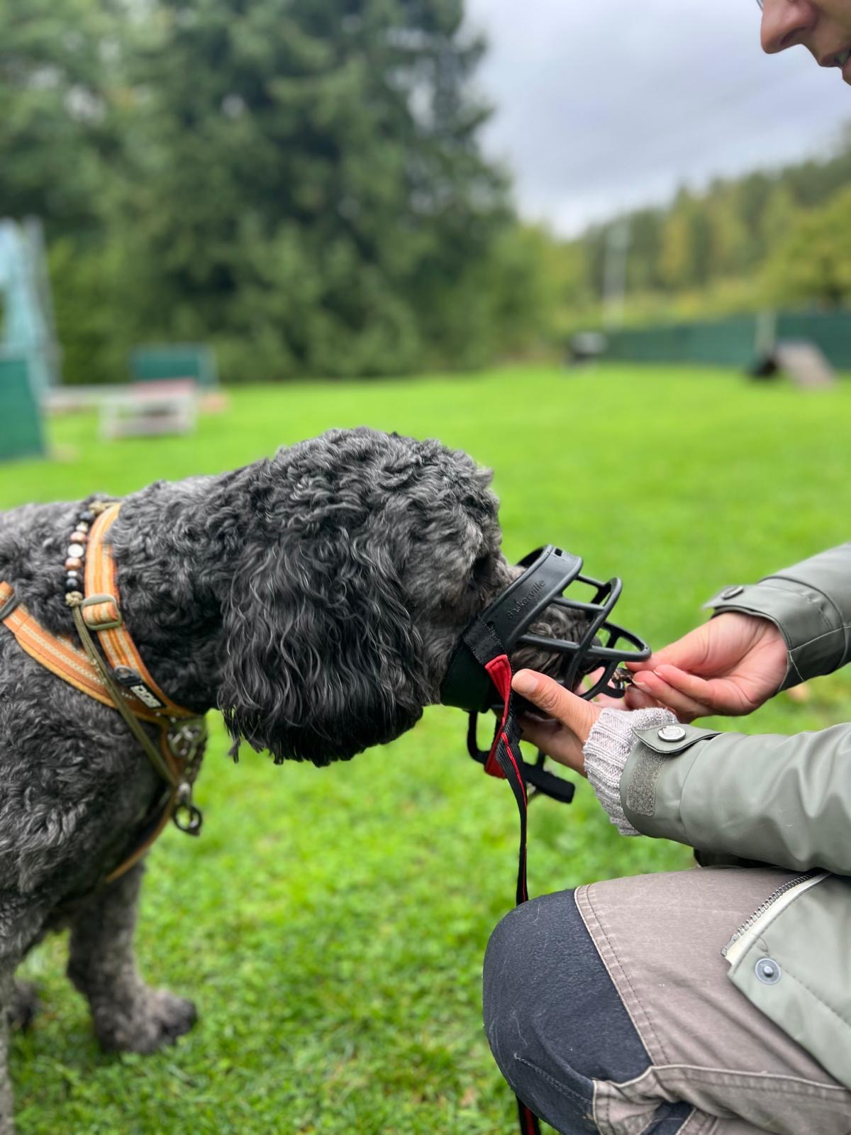 b889a8ee 29b3 45a8 bce8 eb3d6f9f5d01